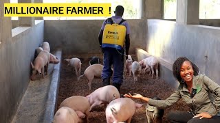 How To SUCCEED In PIG Farming Business As A Beginner 2024 DETAILED [upl. by Kryska]