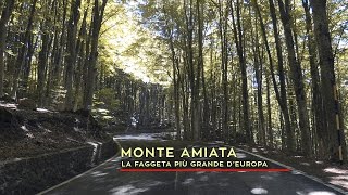 Monte Amiata  La faggeta più grande dItalia e di tutta Europa [upl. by Yllod]