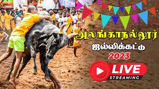 Alanganallur Jallikattu Live 2023  அலங்காநல்லூர் ஜல்லிக்கட்டு நேரலை  Vikatan [upl. by Aitra465]