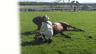 Racing horse death by accident in Galway [upl. by Orms]