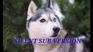 SILENT VERSION heterochromia eyes subliminal one husky blueone brown SILENT VERSION [upl. by Belshin630]