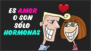 Las Hormonas del Amor [upl. by Nessi]