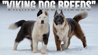 The 10 Mysterious Nordic Dog Breeds [upl. by Iphigenia]