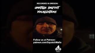 Bigfoot Vocalization from Oregon [upl. by Kata]