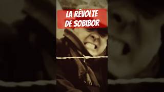 Le soulèvement de Sobibor ww2 [upl. by Nnylidnarb]