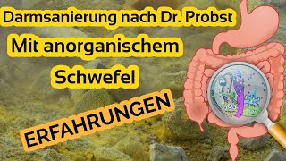 Darmsanierung nach Dr Probst mit anorganischem Schwefel  Erfahrungen [upl. by Aislehc]