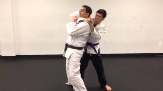 Gracie JiuJitsu Rear Choke Defenses [upl. by Troth525]