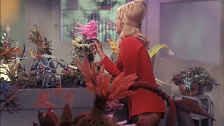 BEAUTIFUL LADIES OF STAR TREK TOS  The Man Trap 04 [upl. by Warfore]