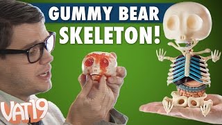 Gummy Bear Skeleton [upl. by Kciremed]