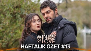 Winds of Love Weekly Summary 13  Rüzgarlı Tepe Haftalık Kolaj 13 [upl. by Deragon234]