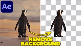 REMOVE BACKGROUND from VIDEO in After Effects  Rotobrush Tutorial [upl. by Eyar]