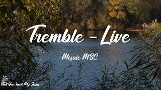 Mosaic MSC  Tremble  Live Lyrics  Jesus Jesus You make the darkness tremble [upl. by Lezned400]