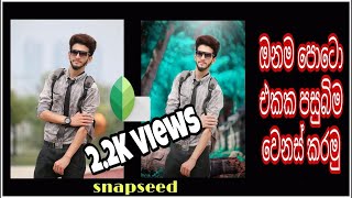 snapseed background change photo editing in sinhala [upl. by Rotsen]