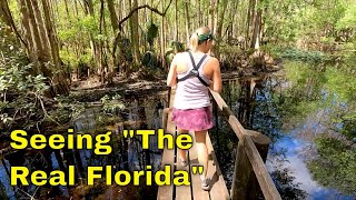 Exploring Highlands Hammock State Park [upl. by Wyly]