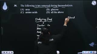 The following isare removed during haemodialysis [upl. by Ayotahc]