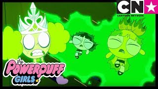 Momentos espeluznantes 🎃  Las Chicas Superpoderosas  Cartoon Network [upl. by Lira]