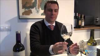 Cata de vino  Video completo hecho por experto [upl. by Carbrey]