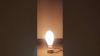 self ballasted mercury lamp warmup 2 [upl. by Hurlow]