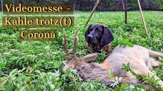 Videomesse  Kahle trotzt Corona Tag 2  Bockjagd [upl. by Audy]