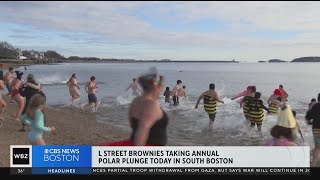 South Boston polar plunge brings cold weather swimmers together [upl. by Fredella]