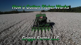 How A Cotton Picker Works 4K [upl. by Butterworth]