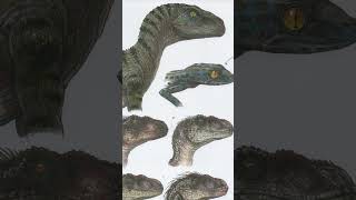 5 CURIOSIDADES QUE NO SABIAS DEL VELOCIRAPTOR BLUE [upl. by Eimma718]