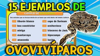 20 EJEMPLOS DE Animales OVOVIVÍPAROS [upl. by Laney]