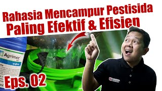 Rahasia Mencampur Pestisida Paling Efektif amp Efisien  Insektisida  Fungisida  Herbisida  Pupuk [upl. by Atiniuq818]