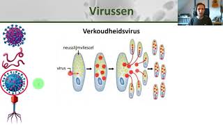 Biologie  Hoe bacteriën schimmels en virussen ons ziek maken  Gezondheid 7 [upl. by Mendez]