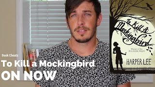 To Kill a Mockingbird Chapter 3 Summary [upl. by Gnes]