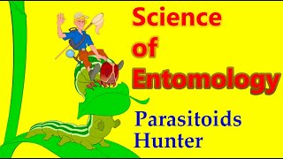 Parasitic Wasps Parasitoids in Action Chalcidoidea Ichneumonoidea Parasitoids Hunter Story [upl. by Otrebmal421]