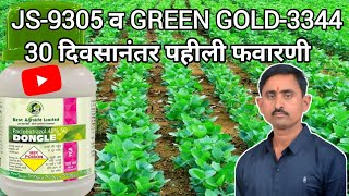 सोयाबीन JS9305 व GREEN GOLD3344 वाण 30 दिवसानंतर पहीली फवारणी  SPRAYING ON SOYABIN [upl. by Narcissus464]