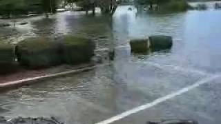 MISSISSIPPI RIVER FLOODING AT GREENVILLE MISSISSIPPI [upl. by Gnap]