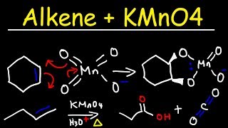 Oxidation of alkene with acidic kmno4 class 11 chapter 15 Hydrocarbon [upl. by Lsiel]