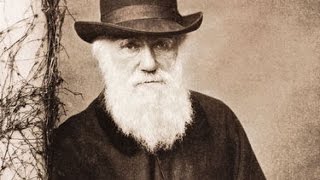 Planet Wissen  Charles Darwin und die Artenvielfalt [upl. by Sirmons371]