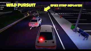 WILD PURSUIT  SPIKE STRIP DEPLOYED  IN BERKELEY COUNTY Roblox [upl. by Htomit267]