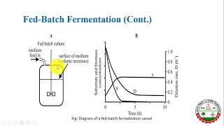 Batch Fedbatch amp continuous culture system  Mode of fermentation  Chemostat amp Turbidostat [upl. by Novihs]