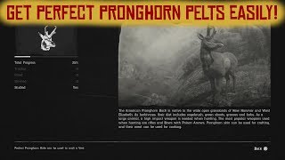 Get perfect Pronghorn pelts easiyl  Red Dead Redemption 2 [upl. by Akemot188]