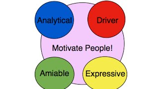 How to Motivate the 4 Personality Types  How to Speak The Secret Language of Personality Styles [upl. by Riancho]