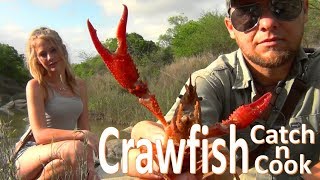 Crawfish Catch N Cook Survival Hand Caught  Fire Grilled Crawdads [upl. by Asehr873]