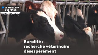 Le meilleur des mags 2022  recherche vétérinaire rural désespérément [upl. by Esidnac]