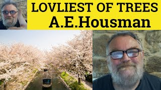 🔵 Loveliest of Trees Poem by AE Housman  Summary Analysis  Loveliest of Trees by AE Housman [upl. by Ule]