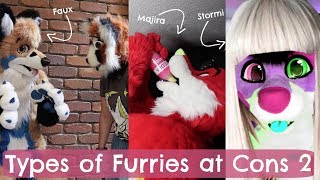 TYPES OF FURRIES AT CONS 2 w StormiFolf amp LikeaFauxProductions [upl. by Tjader404]