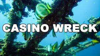 Sunken HotelCasino Wreck  Diving Philippines  MayenTV [upl. by Ahsito736]