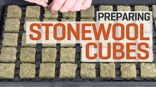 How To Prepare and Presoak Rockwool Cubes for Hydroponics—The Right Way [upl. by Eirak]