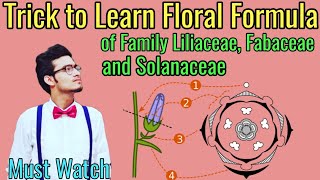 Trick to Write Floral Formulas of Family Fabaceae Solanaceae amp Liliaceae  Morphology via NCERT [upl. by Vanzant]