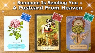 💌🪽 A Postcard for You from Someone in Heaven 💌🪽 Timeless Pick a Card Reading 💌🪽 [upl. by Isolt]