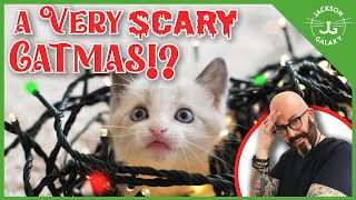 Prevent Holiday CATastrophes Save Your Cat with my Christmas Hacks [upl. by Enida]