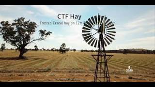 CTF Hay making [upl. by Maxma]