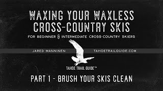 Wax Your Waxless XC Skis Part 1 Brush Your Skis Clean [upl. by Ainimreh716]